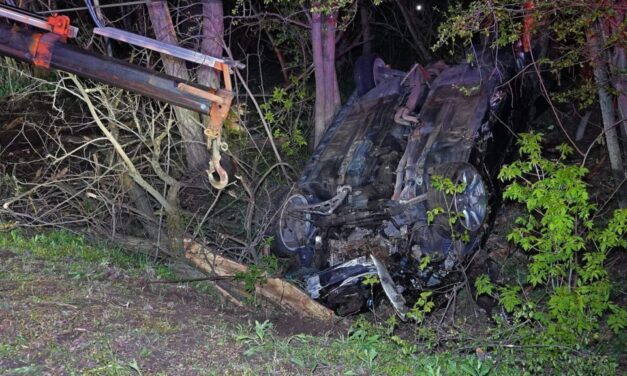 Buliból tartott hazafelé a Fülöpjakabnál balesetet szenvedett társaság, hárman szörnyethaltak a BMW-ben – a sofőr ittas volt