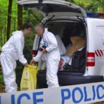 Felfoghatatlan bűntett a Marina Parton: kivégezték a párt, feldarabolták a holttestüket, majd elásták őket egy mésszel teli gödörben a Pilisben