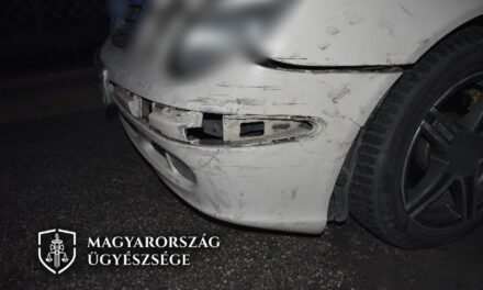 Elgázolta a bicikliző kislányt, majd leszerelte a rendszámát és otthagyta a sérült gyermeket