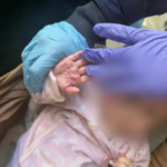 Döbbenetes állapotok Zuglóban: 11 kutyával, emberi ürülékkel teli lakásban élt egy terhes nő kisgyermekével – helyszíni videó