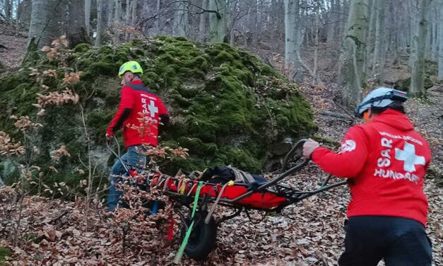 Grönlandon, egy szakadékba zuhanva halt meg az itthon eltűntként keresett Levente