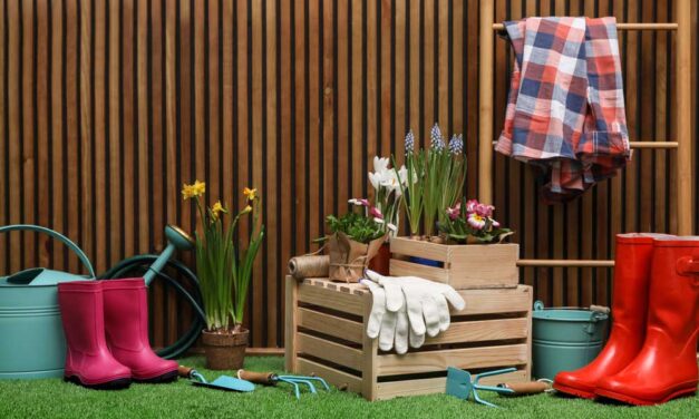 Tavaszi nagytakarítás az agglomerációban: Ne ússzon el a hétvégéd és a pénzed