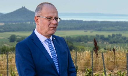 Balaton környékén is tarolt a Tisza Párt, nagyot buktázott a fideszes nagyágyú Navracsics Tibor az északi parton