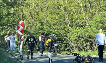 Erdőbe repült a motoros a bajnai szerpentinen: Drámai pillanatok a hírhedt kanyarvadászaton