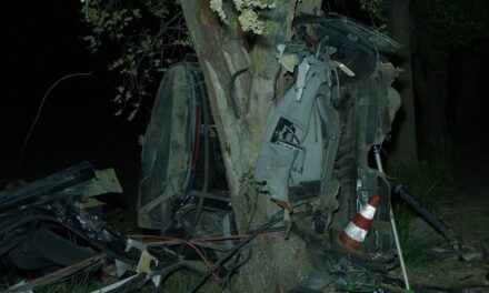 Halálos baleset Nagykállónál: fékezés nélkül csapódott a fának a BMW, majd darabokra szakadt