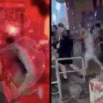 Elszabadult a pokol a pesti belvárosban: Véres tömegverekedés és rengeteg balhé történt a PSG és az Arsenal ultrái között – VIDEÓ