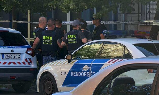 Bandaháború Csepelen: bozótvágóval skalpolta meg az egyik férfi a másikat, vérfürdőt rendeztek a nyílt utcán