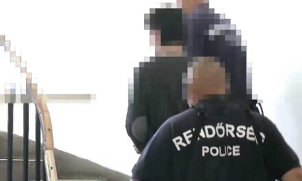 Tévénézés közben akarta megölni apját a fóti férfi, majd azt kérte a mentőktől, vigyék pszichiátriára az idős férfit