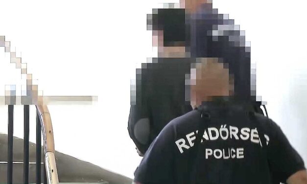 Tévénézés közben akarta megölni apját a fóti férfi, majd azt kérte a mentőktől, vigyék pszichiátriára az idős férfit