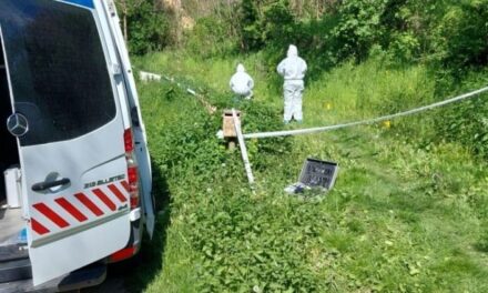 Megölte élettársát, majd bedobta a kútba a holttestet a döbröközi férfi