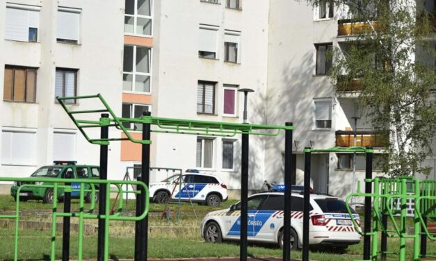 Durva haláleset Szentlőrincen: kidobhatták a 4. emeletről a 17 éves lányt, aki kiszakította a szunyoghálót, úgy zuhant a mélybe