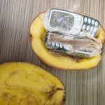 A kerítésen keresztül dobták be a krumpliba rejtett mobilokat a budapesti börtön udvarába