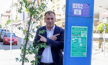 Búcsú a parkolóóráktól: Fákat ültetnek az automaták helyére a 2. kerületben