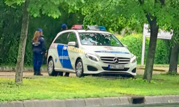 Házaséletet élt a gyermekotthonból megszökött, 10 éves unokájával a nagymama: a nagypapa leplezte le őket