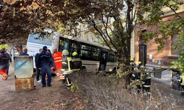 Buszbaleset Veszprém megyében: egy ember meghalt, nyolcan megsérültek