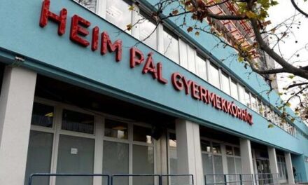 Egy hét alatt négy gyerek került a Heim Pálba gombelem lenyelése miatt – az egyik beteget műtüdővel tartják életben