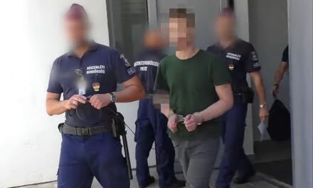 Kannibált fogtak a 2. kerületben: emberi szerveket és csontokat találtak egy beteghordozónál, a férfi evett is a testrészekből