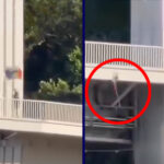 Dunába dobta a szivárványos zászlókat egy ismeretlen az Erzsébet hídról, a megafonosok ünneplik a rongálót – videó a cikkben