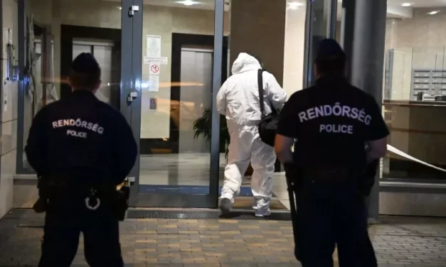 Gyilkosság Budapesten: saját dédanyját végezte ki a 16 éves Rudolf, majd zálogházba vitte a halott asszony fülbevalóját