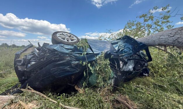Szörnyű baleset a 6-os főúton: meghalt a 32 éves háromgyermekes anya, öten megsérültek a Hidasnál történt ütközésben