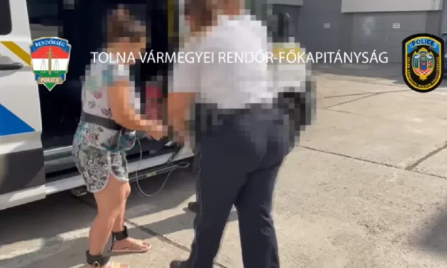 Nagydorogi csecsemőgyilkosság: vádat emeltek a nő ellen, aki sétáltatás közben végzett gyermekével,  majd eljátszotta, hogy elrabolták tőle a picit
