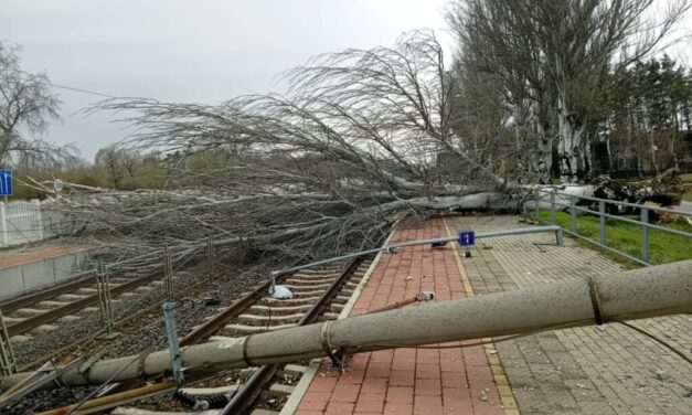 Vasúti baleset Nyíregyházán: kidőlt fának rohant az InterCity