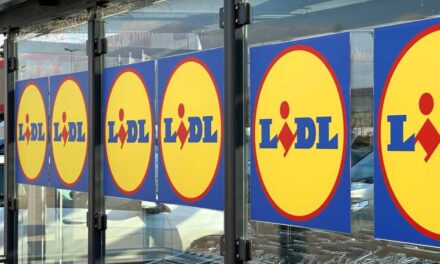 A Lidl 55 új boltot nyitna, ha nem lenne plázastop – kiemelten célkeresztben van a budapesti agglomeráció