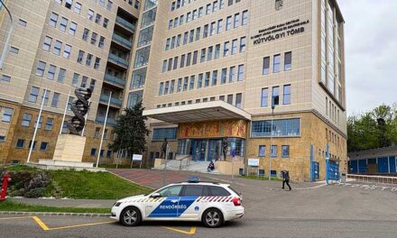 Emberölés a János kórházban: a sürgősségi osztályon dolgozott a doktornő, aki egyik betegét átsegítette a túlvilágra