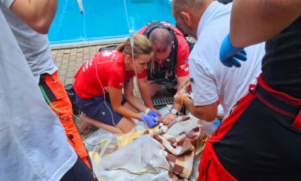 Dráma a balatoni kempingben: medencébe esett egy hároméves kisgyermek, az apja és a mentősök küzdöttek az életéért