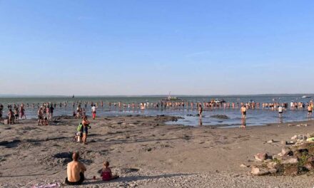 Emberláncot alkottak a strandolók Siófokon: Egy eltűnt ötéves kisfiút kerestek a Balatonban