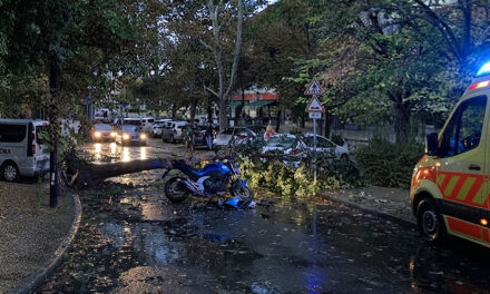 Meghalt egy 16 éves motoros Kiskunfélegyházán, miután rádőlt egy fa a szerdai viharban