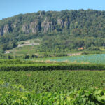 Drámai szakadék a borvidékek ingatlanpiacán: A Balatonfüred-Csopaki térségben 1,1 millió felett, Tokajban 250 ezer alatt van a négyzetméterár