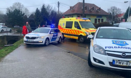 Partvisnyéllel és egy fémmankóval akarta agyonütni beteg anyját egy férfi Budakeszin, az asszony életveszélyesen megsérült