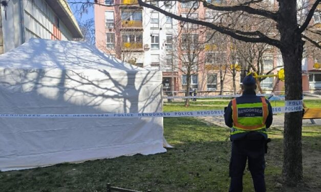 „Ezt nem tudjuk felfogni” – nem hiszik el az ismerősei, hogy saját akaratábón közösült a nyílt utcán az 52 éves Edit, akit pár óra múlva holtan találták a bokorban