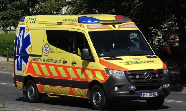 Rátámadt 72 éves anyjára egy férfi Sződligeten, majd nem engedte, hogy a mentők ellássák az idős asszonyt