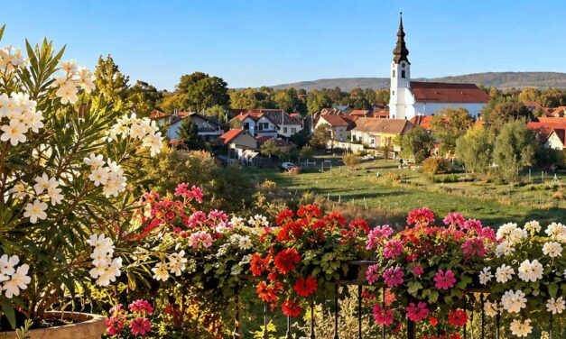 Sokan elkövetik ezt a végzetes hibát a muskátlikkal és a leanderekkel ősszel