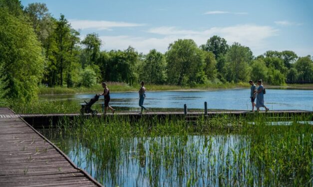 Holtan találták a Vekeri-tó közelében a Debrecenből eltűnt 41 éves férfit